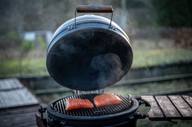 koud roken zalm (1 van 1) koud roken zalm (1 van 1)